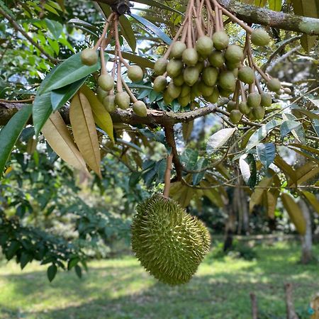 Kebun Puisi Villa Kajang Exteriör bild