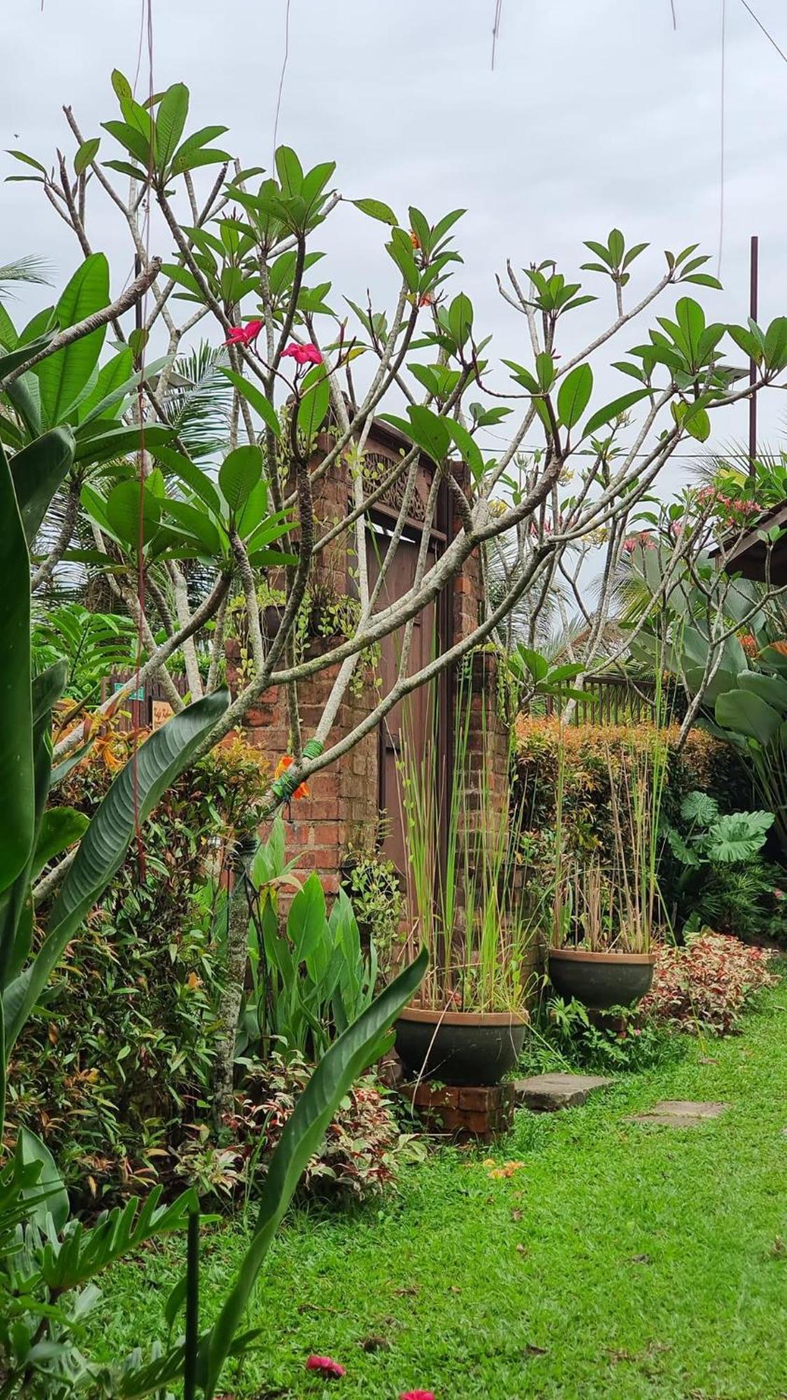 Kebun Puisi Villa Kajang Exteriör bild